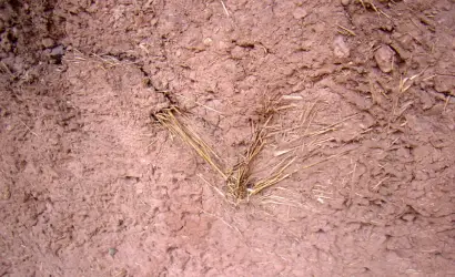 A szálerősítésű beton története